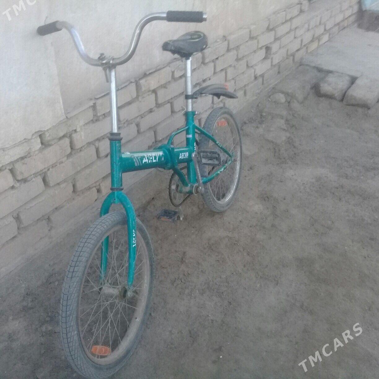 kama - Daşoguz - img 3