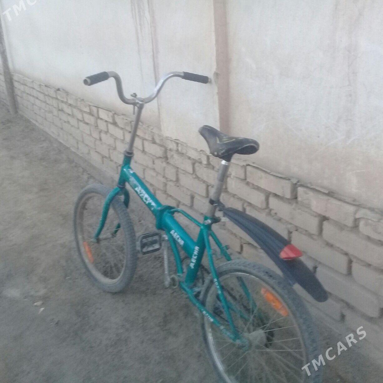 kama - Daşoguz - img 2