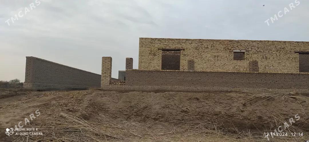 satlyk jaylar - Görogly (Tagta) - img 3