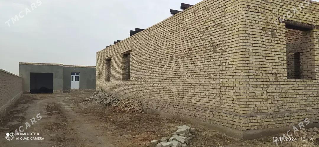 satlyk jaylar - Görogly (Tagta) - img 2