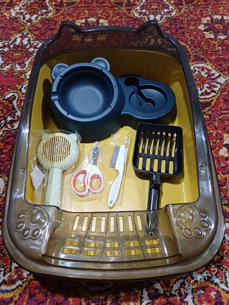 Лоток для кошек - Daşoguz - img 2