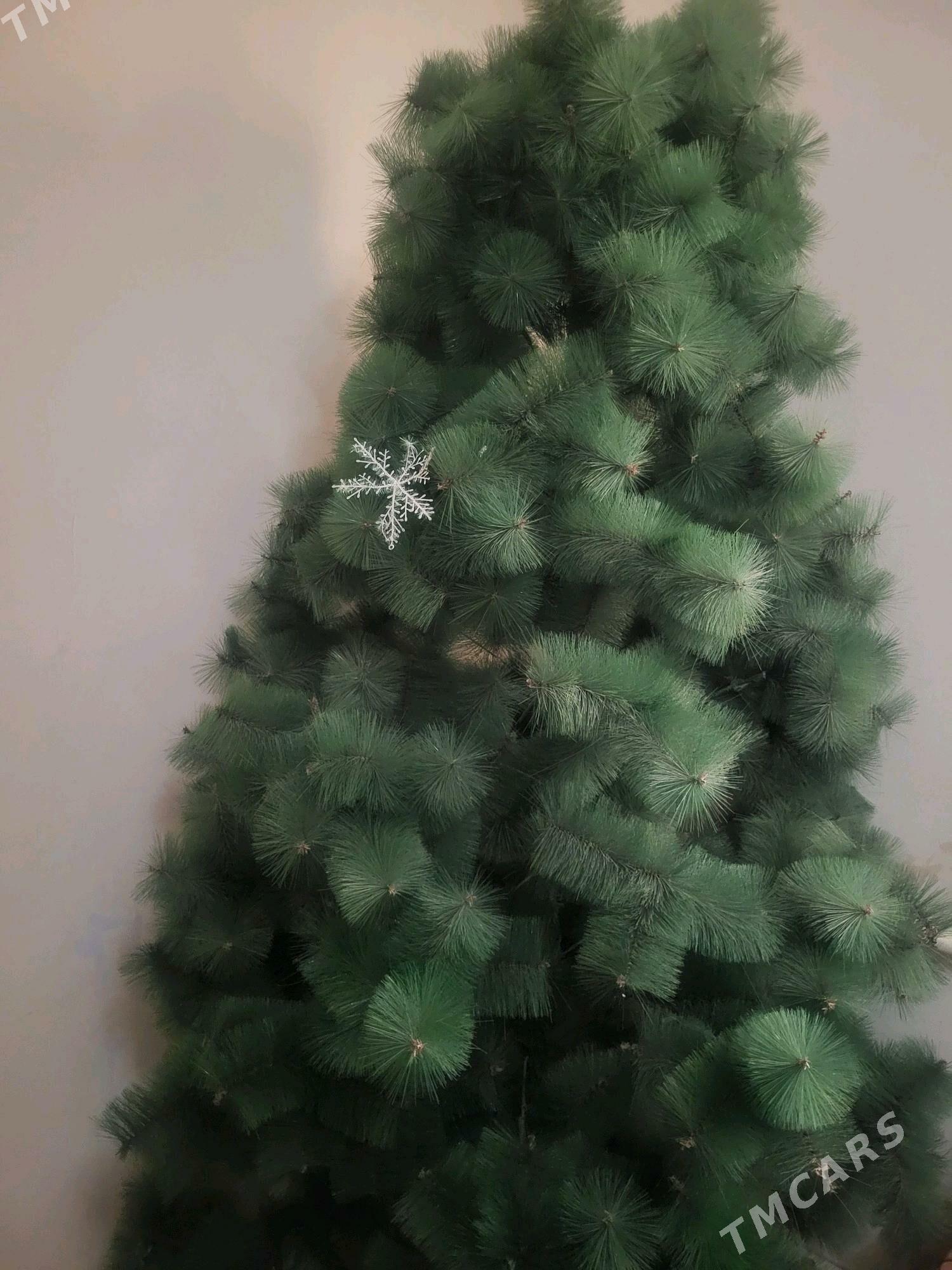 yolkq - Дашогуз - img 2