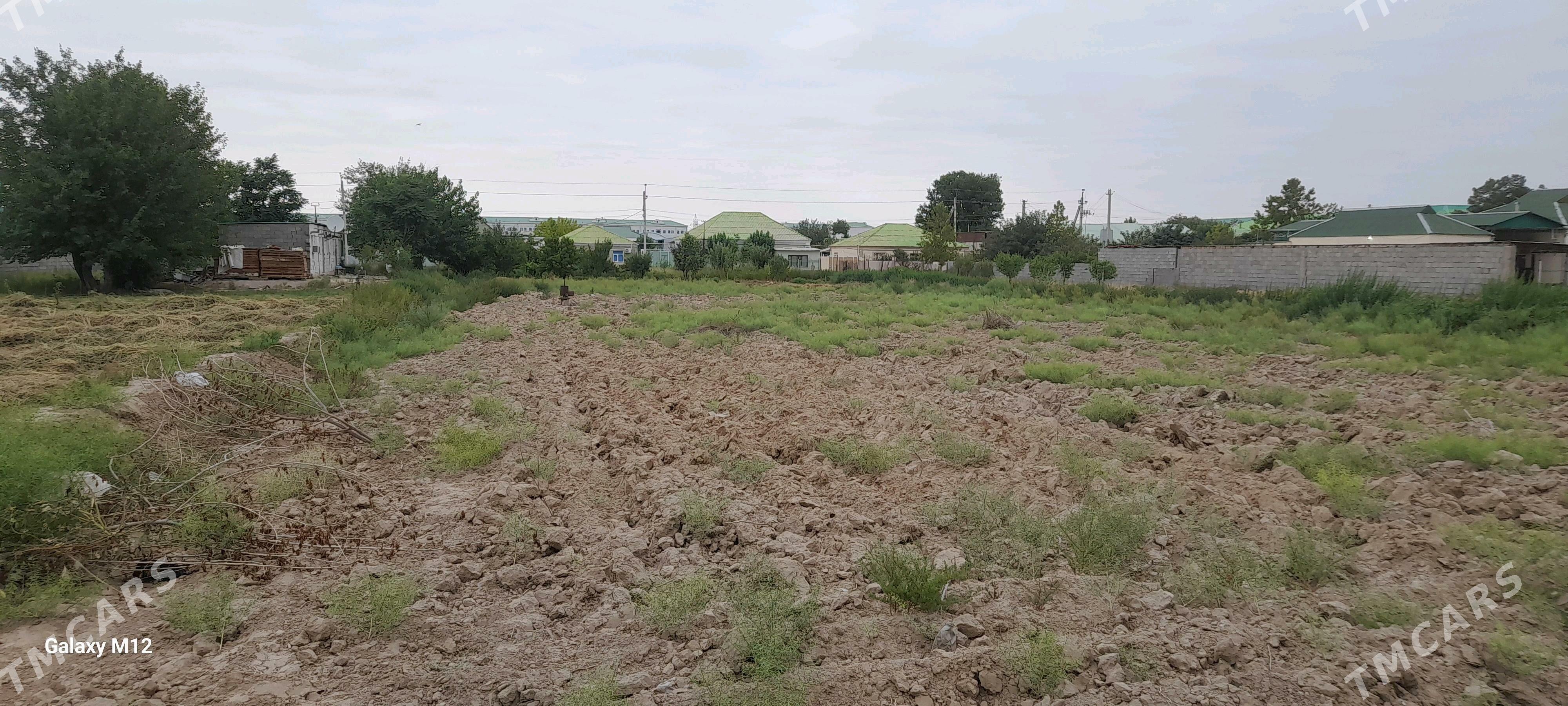 Melek Yer - Gurtly - img 1