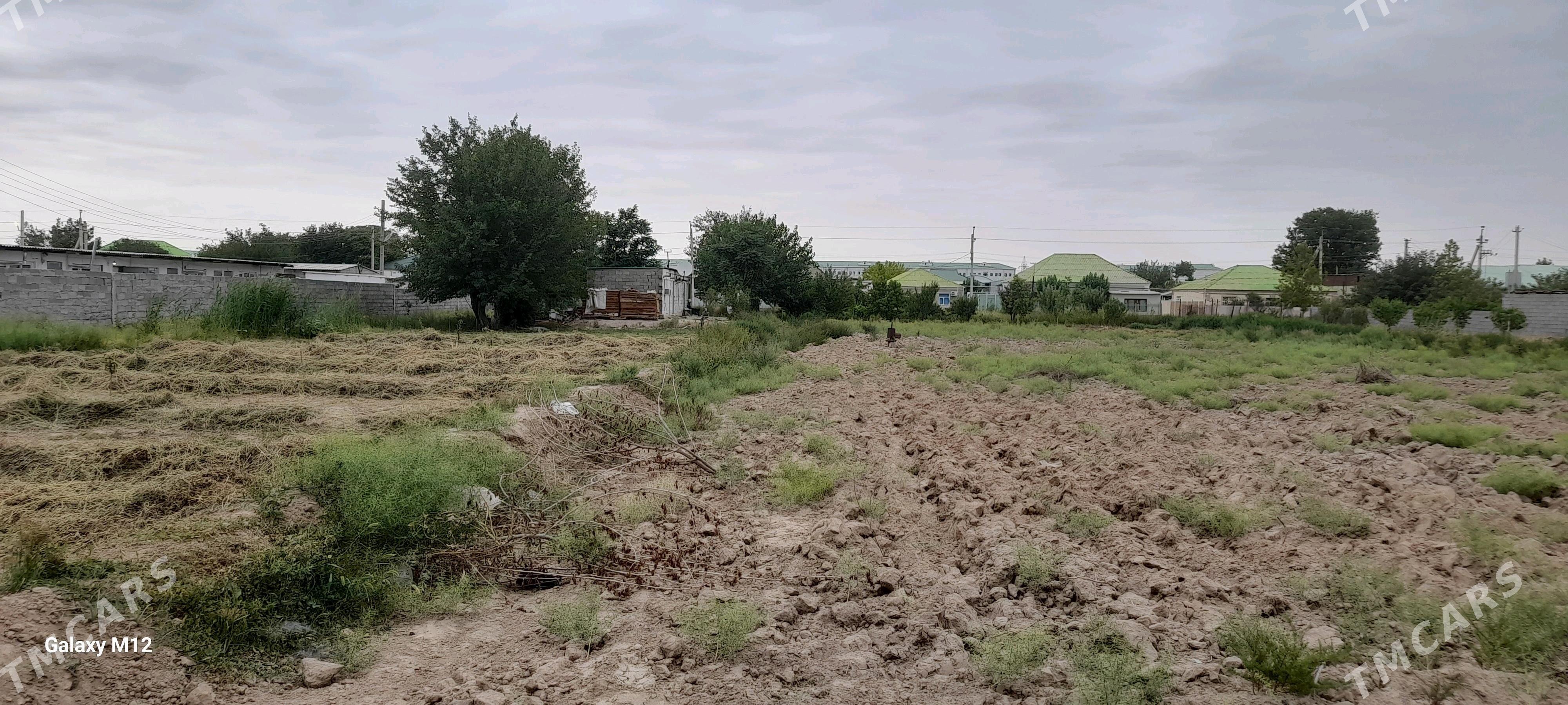 Melek Yer - Gurtly - img 4