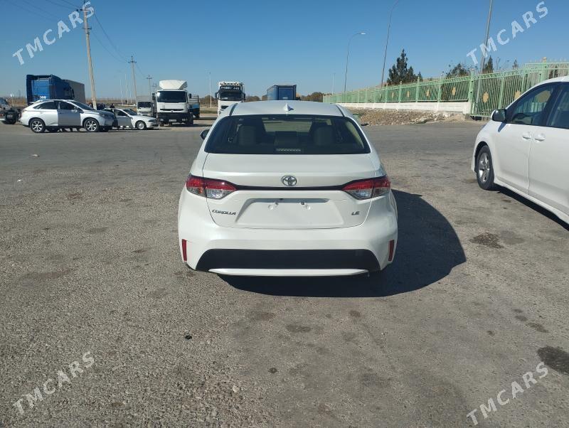 Toyota Corolla 2021 - 250 000 TMT - Halaç - img 3