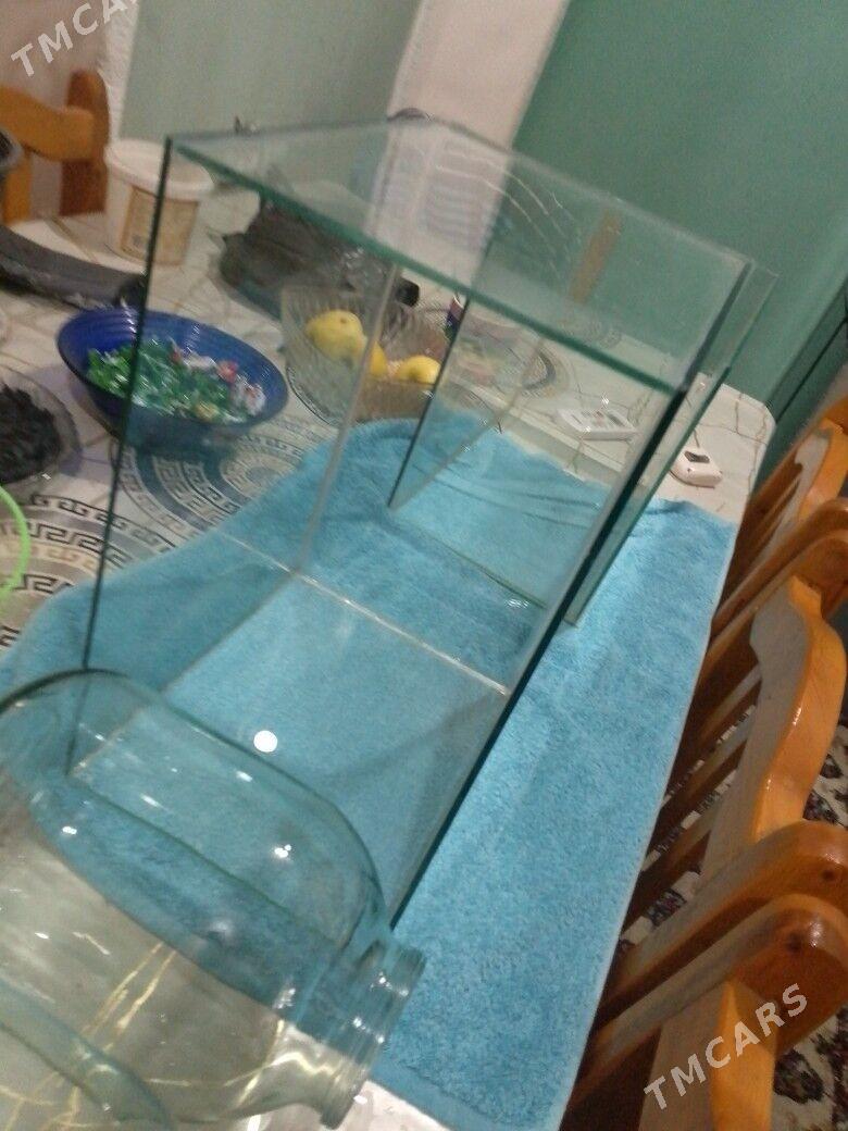 продаю аквариум 22 литра - Türkmenabat - img 1