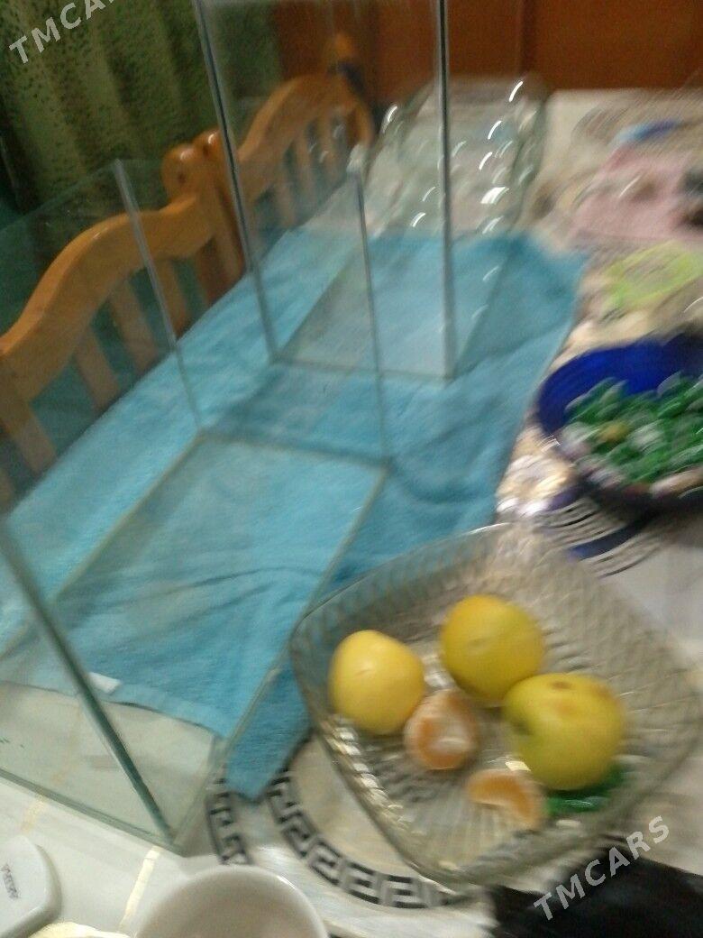 продаю аквариум 22 литра - Türkmenabat - img 3