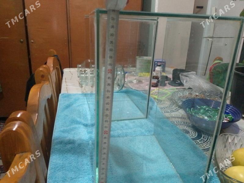 продаю аквариум 22 литра - Türkmenabat - img 5