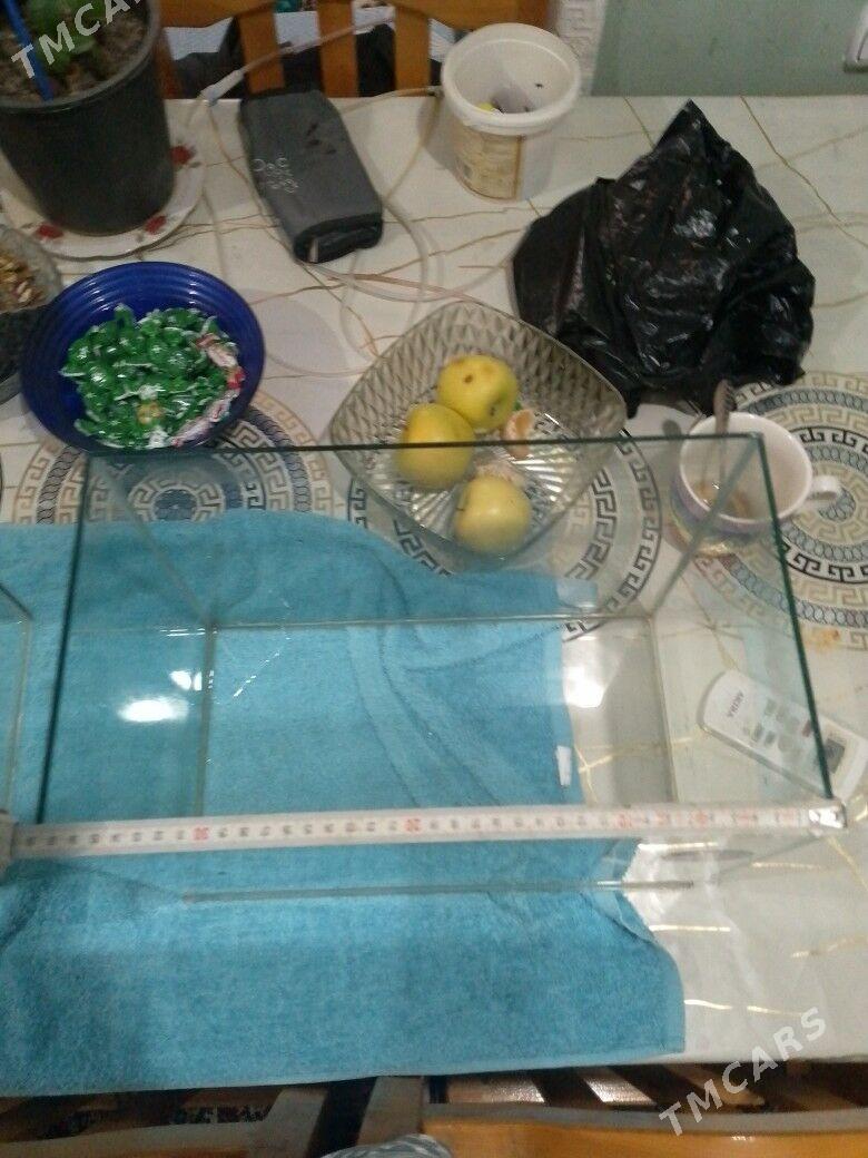 продаю аквариум 22 литра - Türkmenabat - img 4