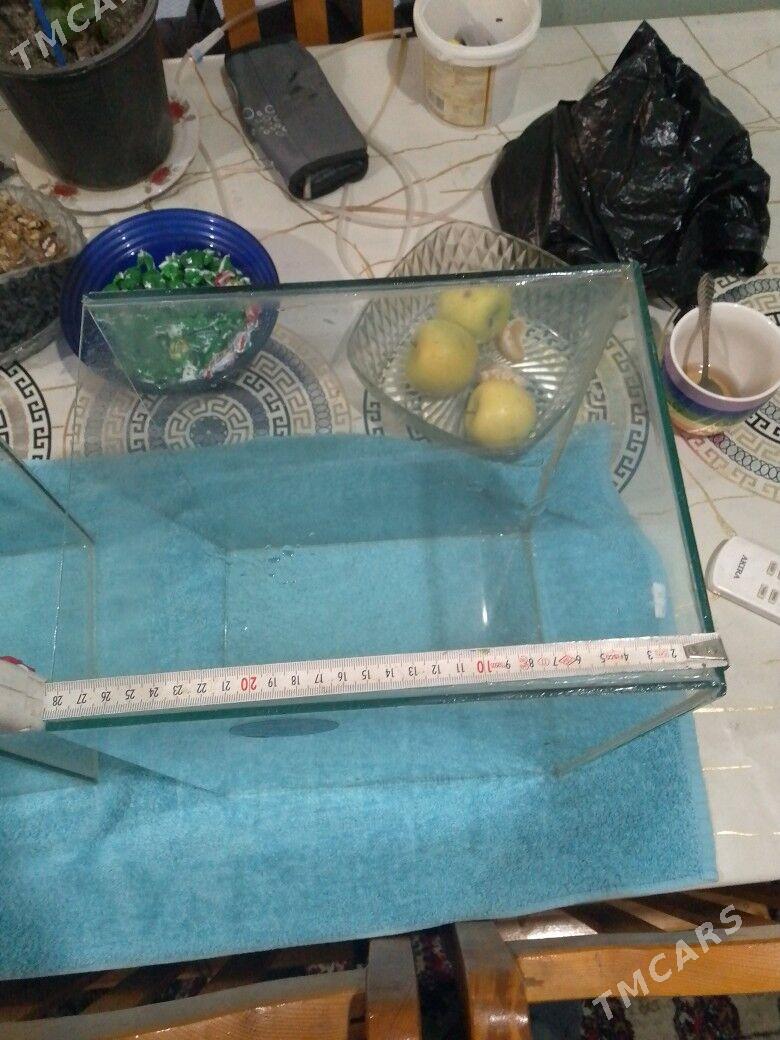 продаю аквариум 22 литра - Türkmenabat - img 6