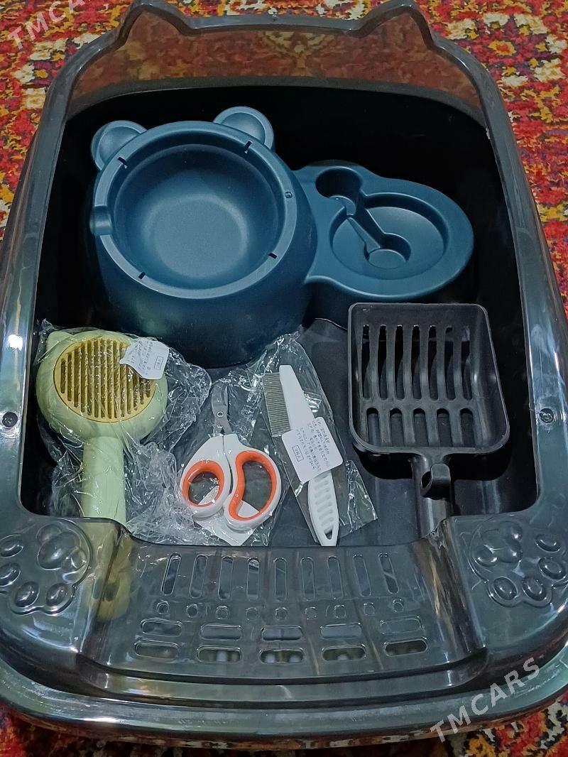 Лоток для кошек - Daşoguz - img 1