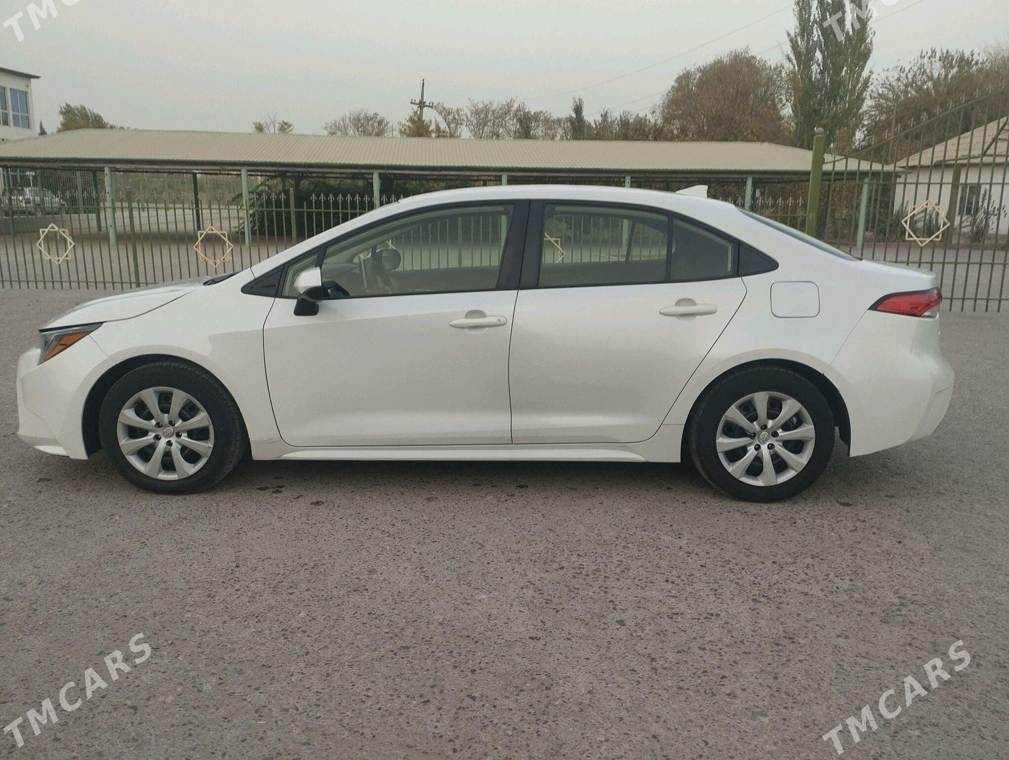 Toyota Corolla 2021 - 250 000 TMT - Halaç - img 2