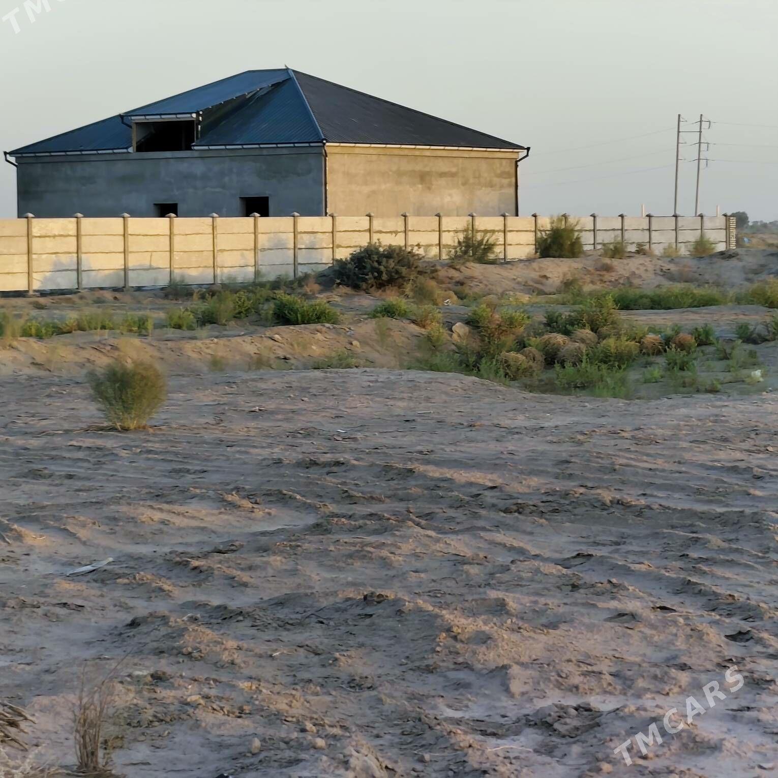 mellek jay - Дашогуз - img 2