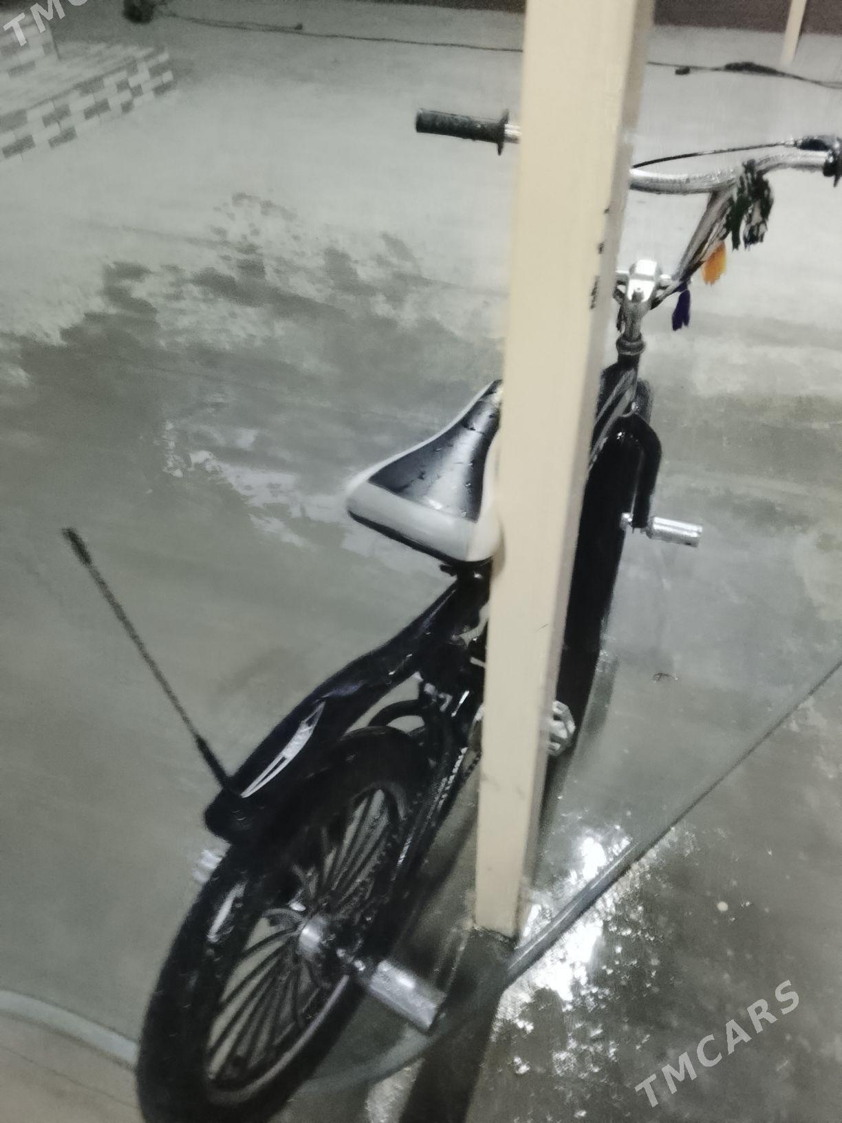 duga tigir - Bäherden - img 2