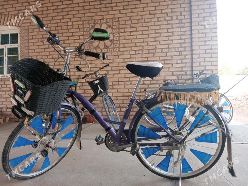 Welik 26 6 skor - Murgap - img 2