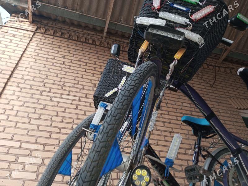 Welik 26 6 skor - Murgap - img 6