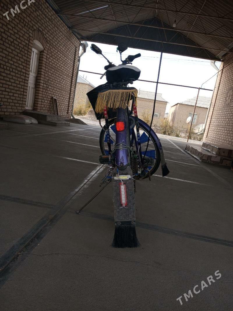 Welik 26 6 skor - Murgap - img 8