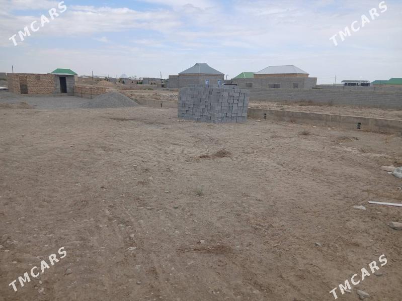 satlyk jay - Бахарден - img 3