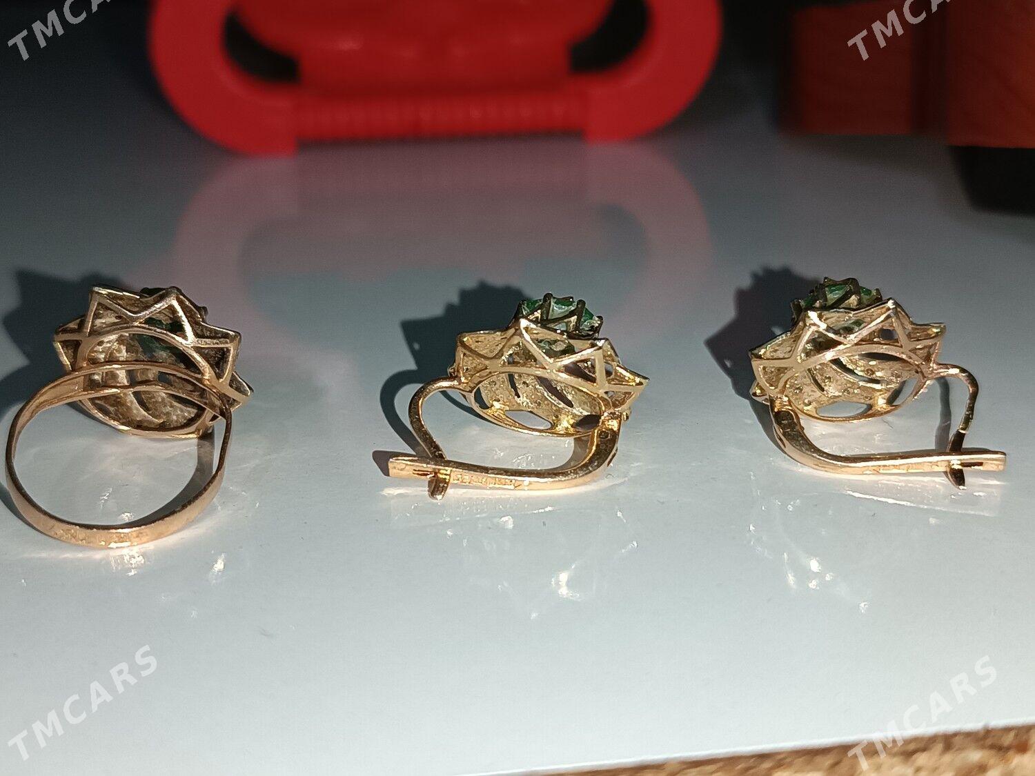 altin - Daşoguz - img 3