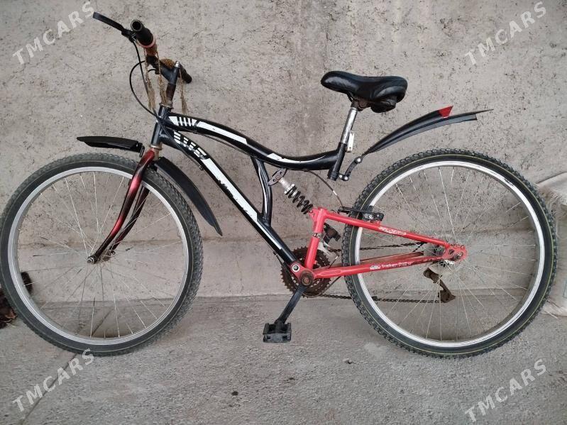 Тигир - Boldumsaz - img 1