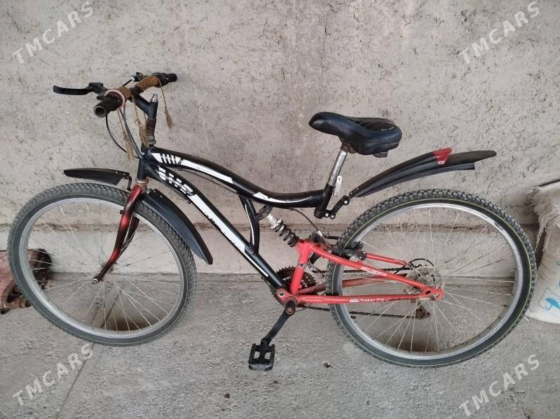 Тигир - Boldumsaz - img 3