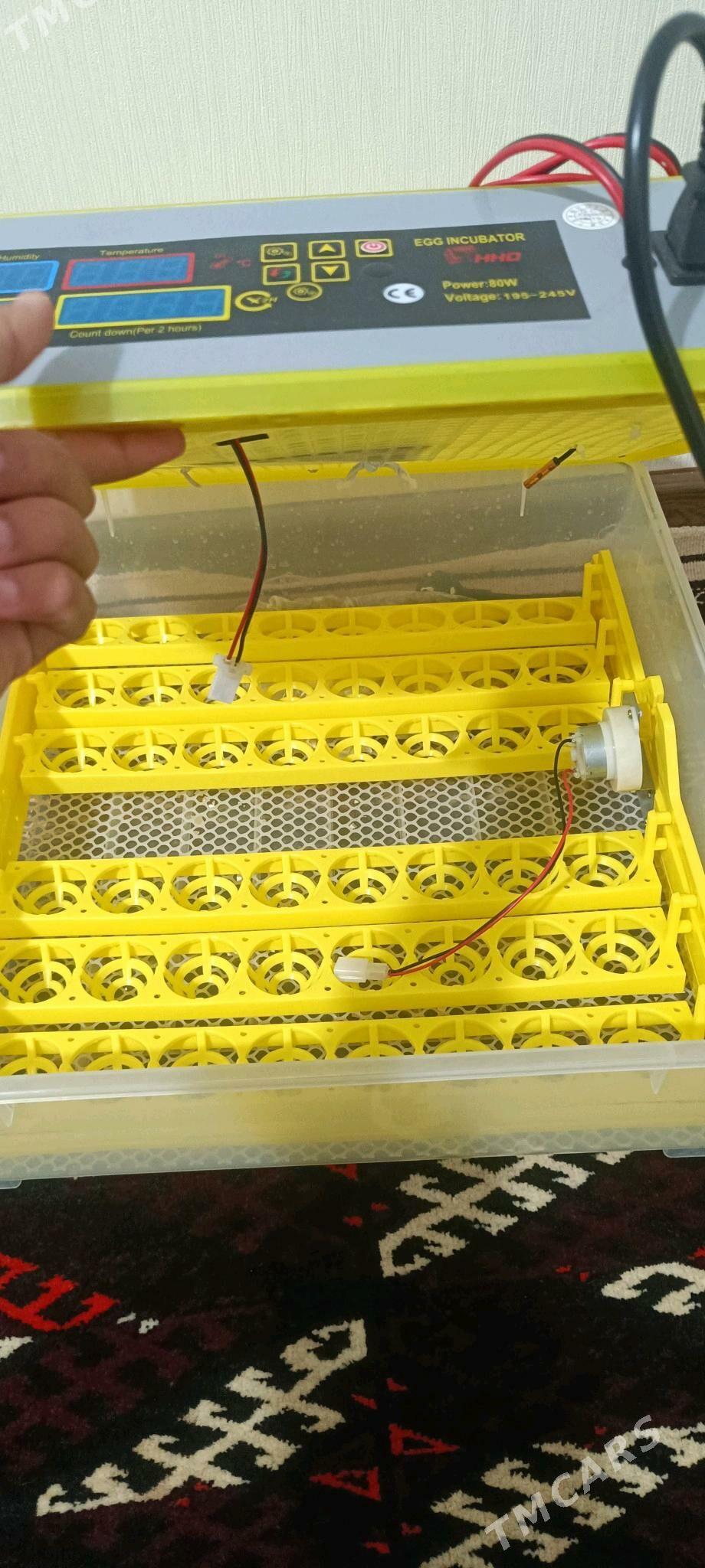 Inkubator - Balkanabat - img 2