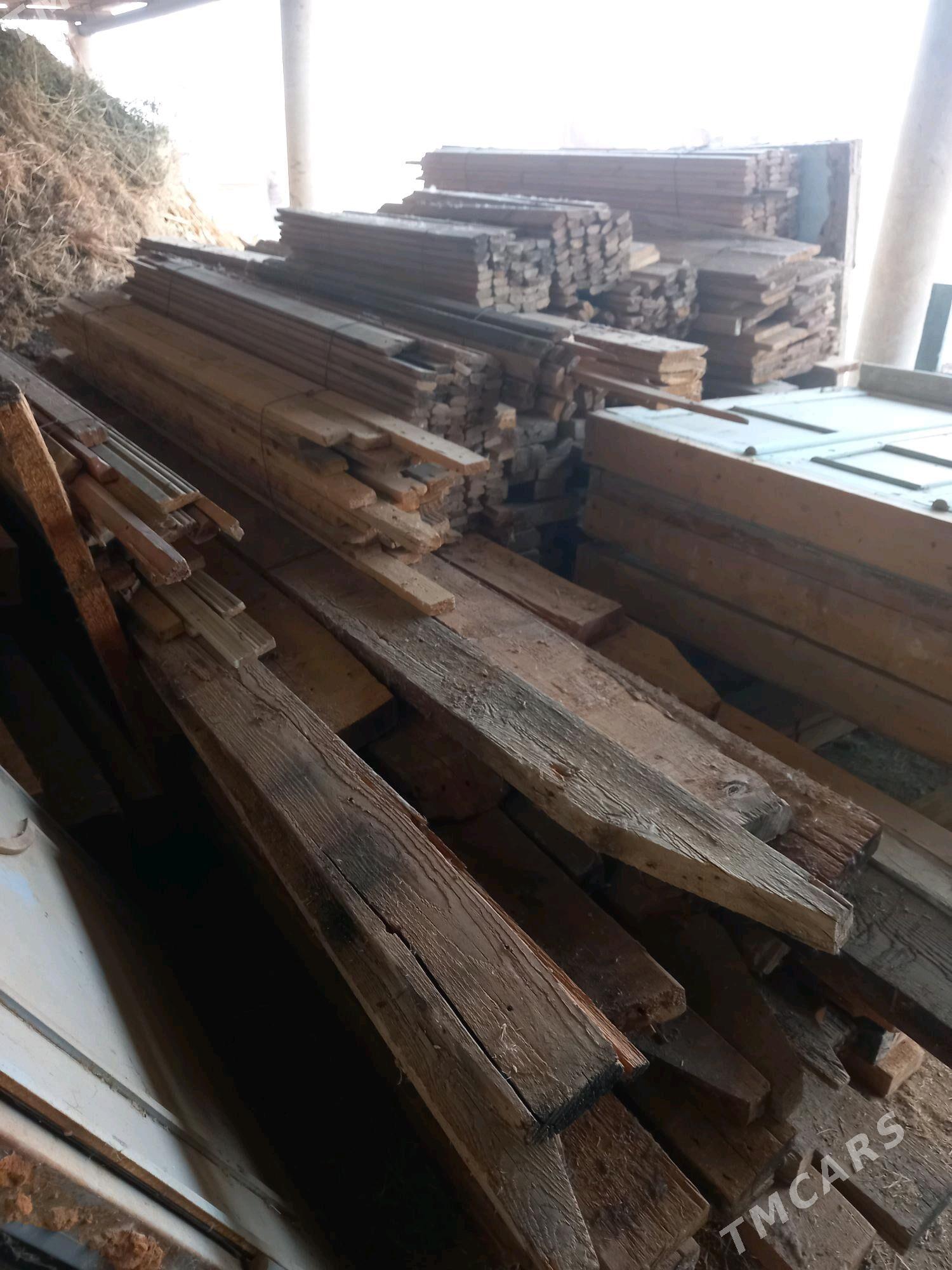 pollyk agac - Oguz han - img 2