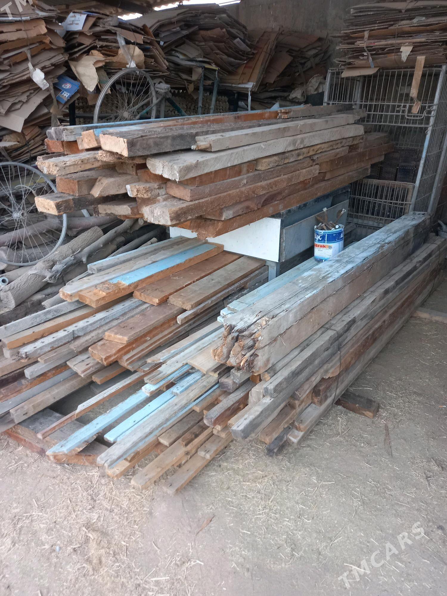 pollyk agac - Oguz han - img 3