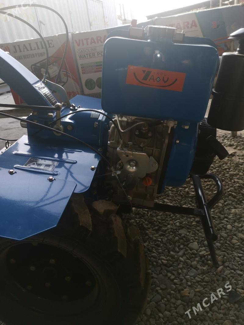 Ýer agdarýan diesel 188F - Mary - img 2