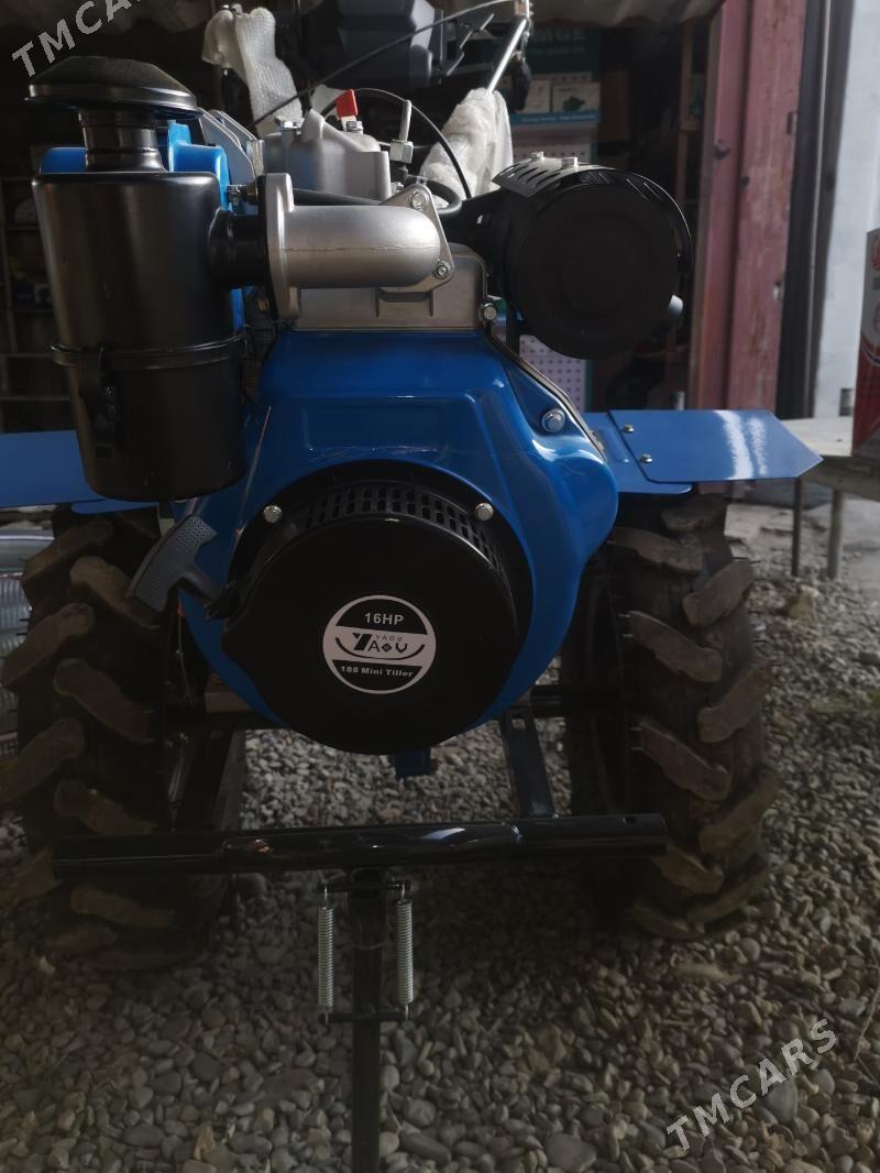 Ýer agdarýan diesel 188F - Mary - img 1