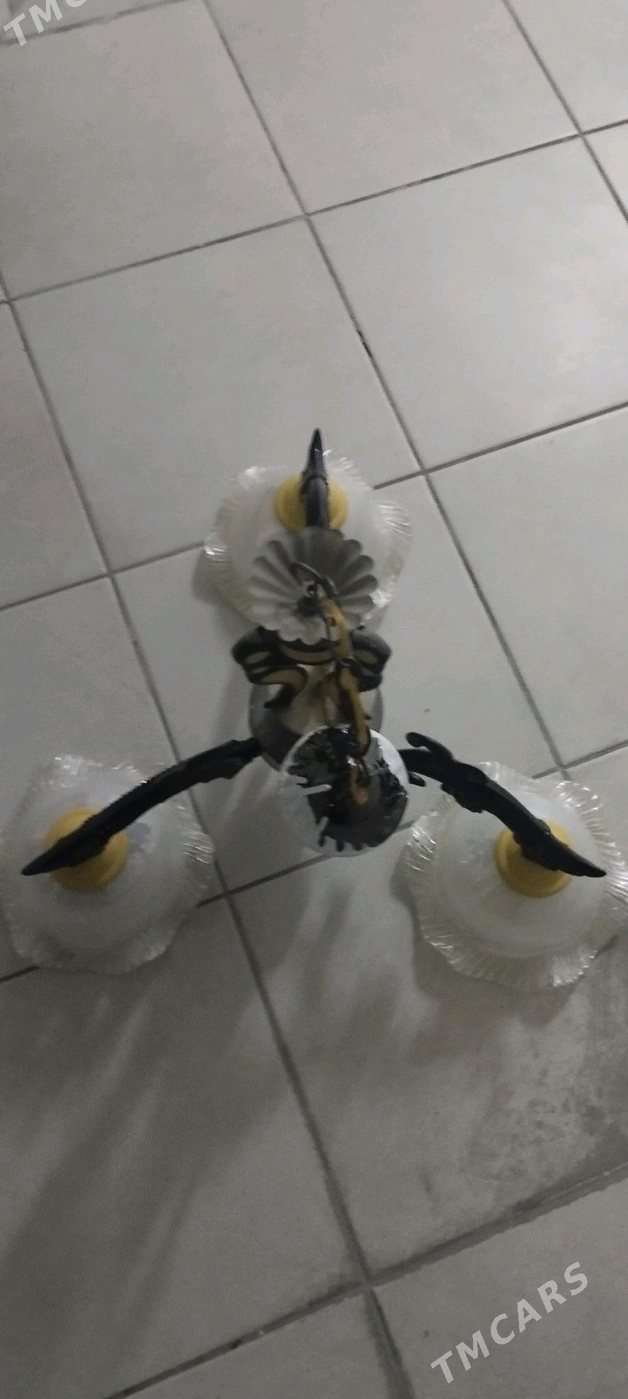 lustra - Atatürk köç. - img 2