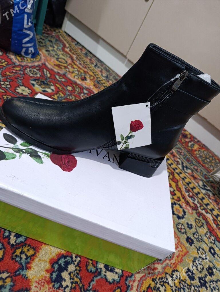 Adik turkinki - Daşoguz - img 2