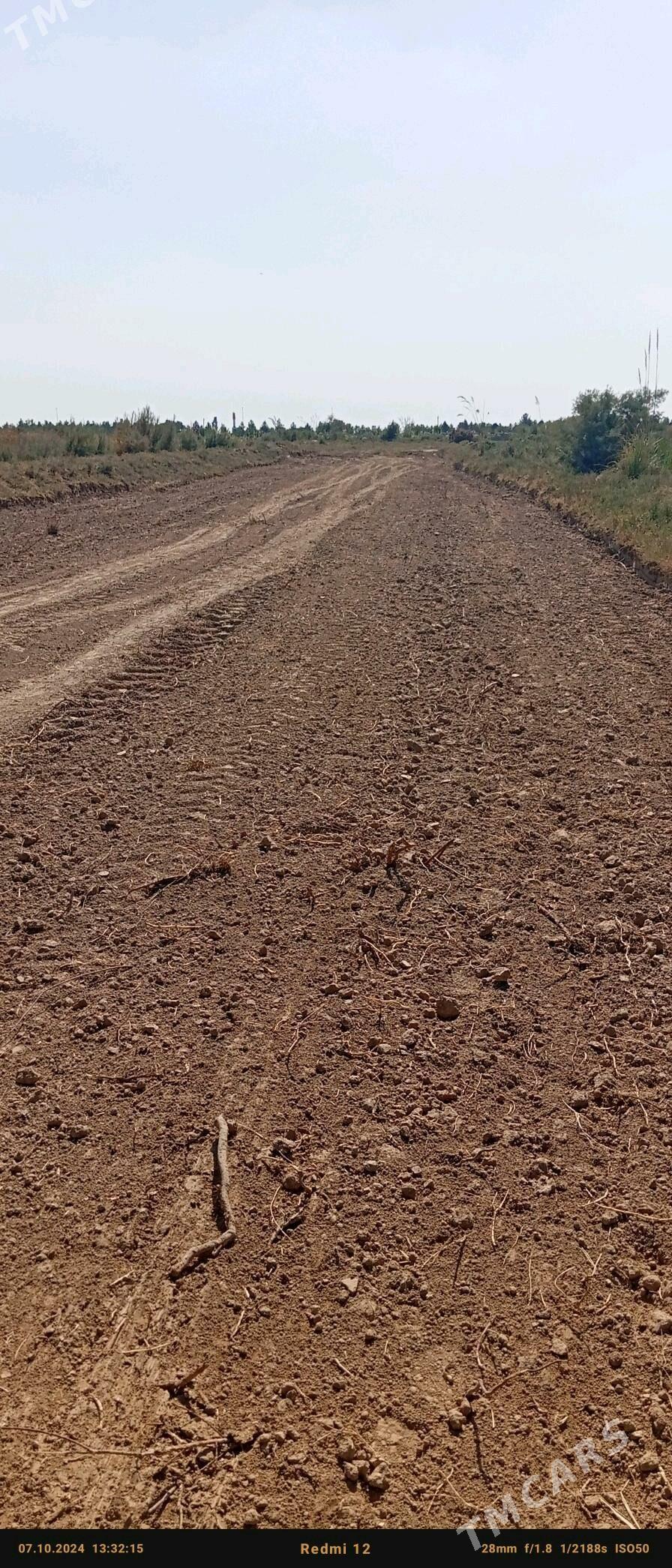 ekin yer - Байрамали - img 1