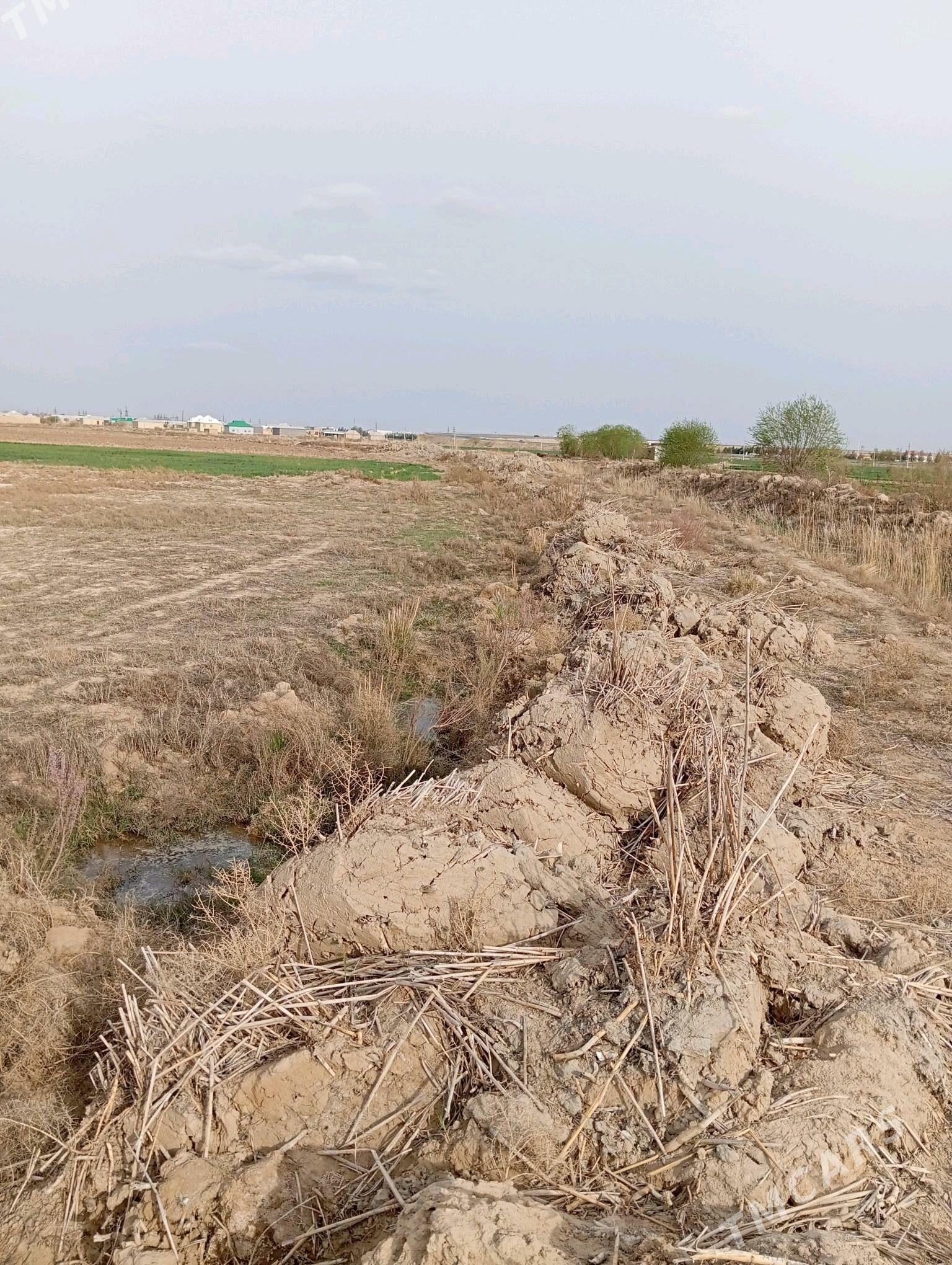 ekin yer - Байрамали - img 2