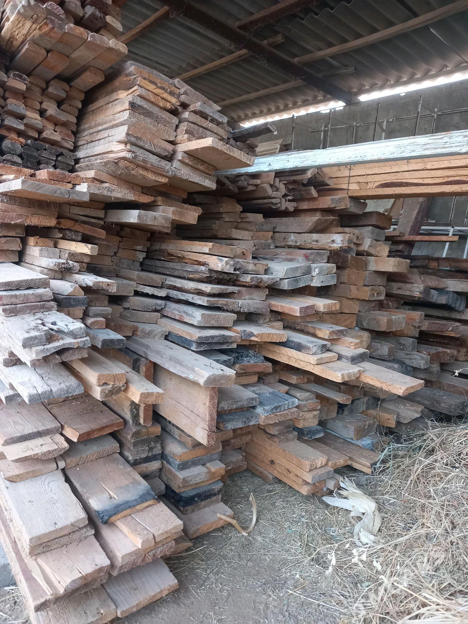 pollyk agac - Oguz han - img 4