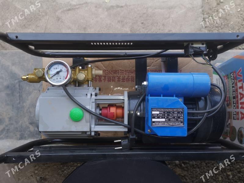 Domaşny Moýka 380 - Mary - img 3