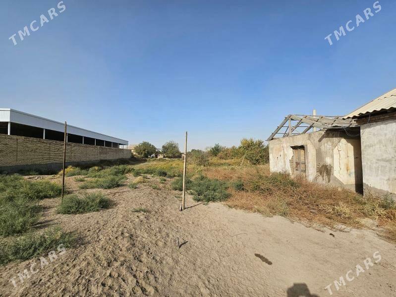 Pesenali mykyllyr oktabr - Mary - img 2