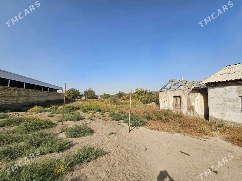 Pesenali mykyllyr oktabr - Mary - img 3