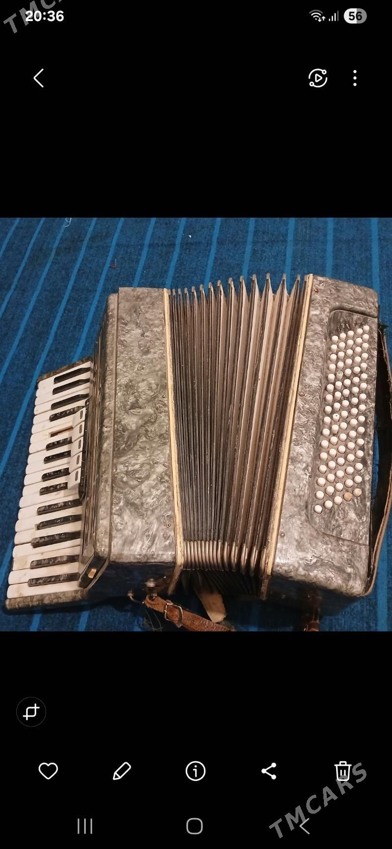 Akkardion - Baýramaly - img 2