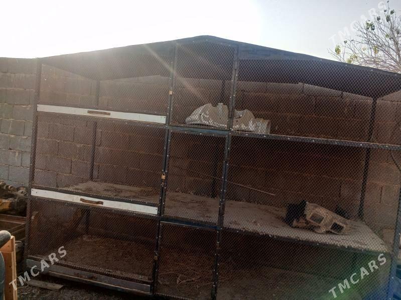 satlyk towuk ketek gysagly - Гарадамак - img 2