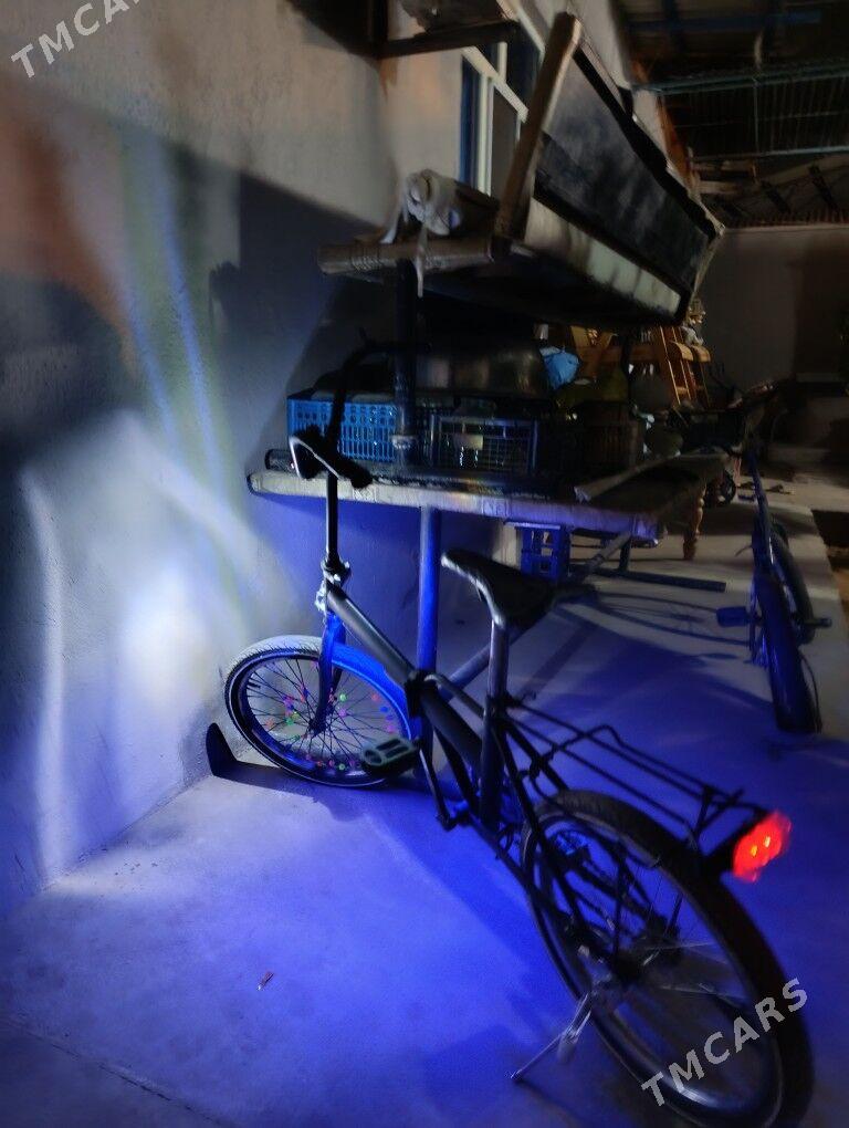 TİGİR - Çoganly - img 2