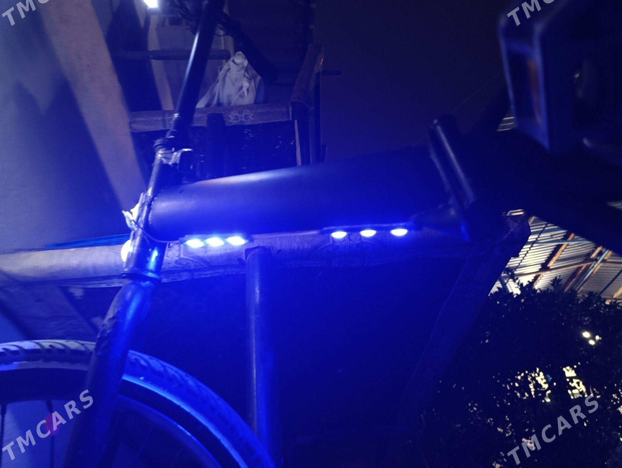 TİGİR - Çoganly - img 3