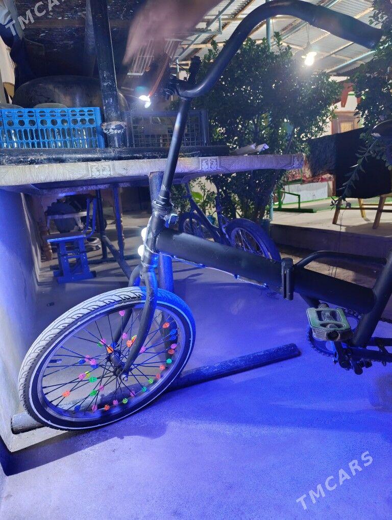 TİGİR - Çoganly - img 5