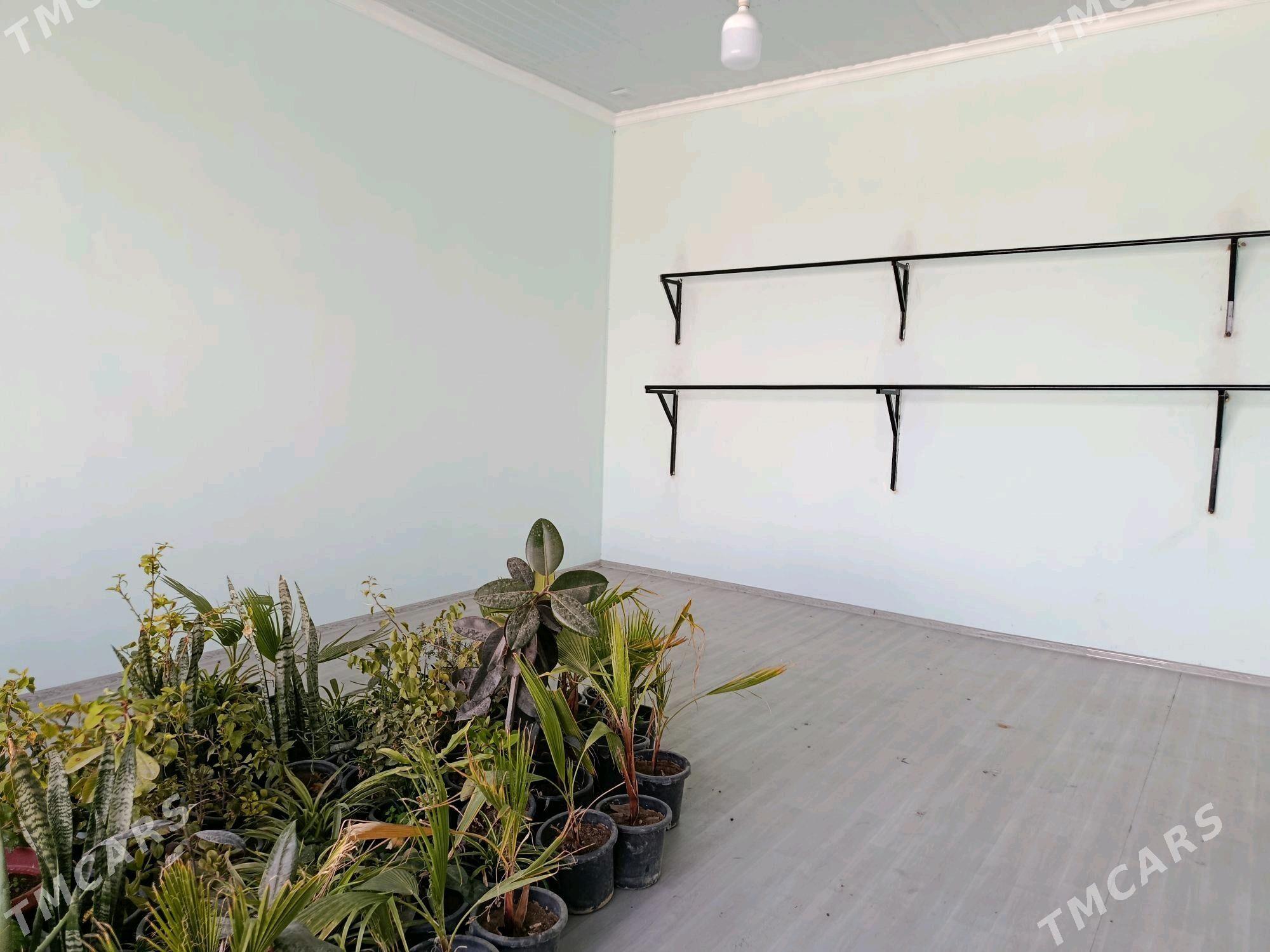 АРЕНДА МАГАЗИН KIREYINE DUKAN - Darganata - img 4