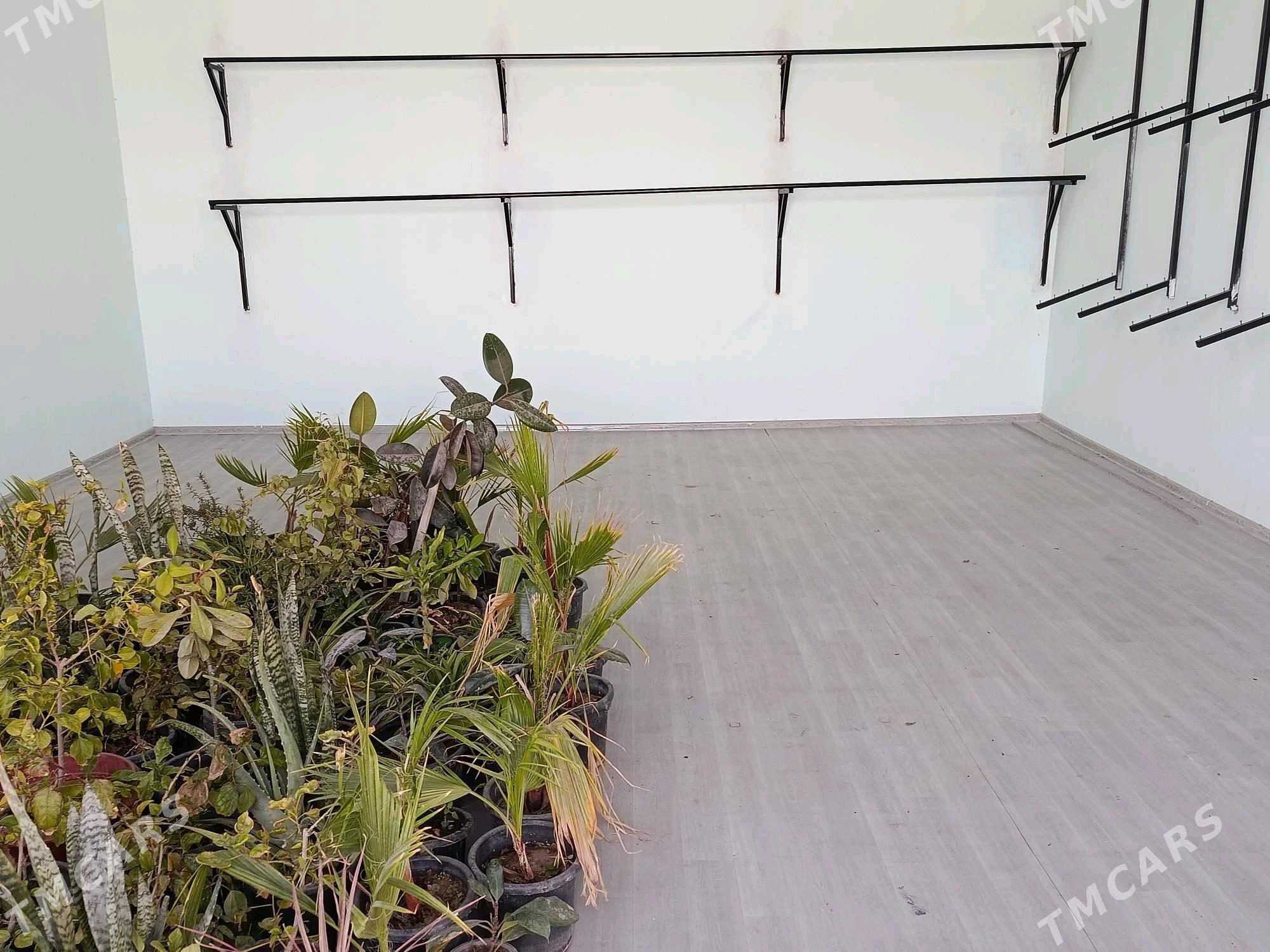 АРЕНДА МАГАЗИН KIREYINE DUKAN - Darganata - img 3