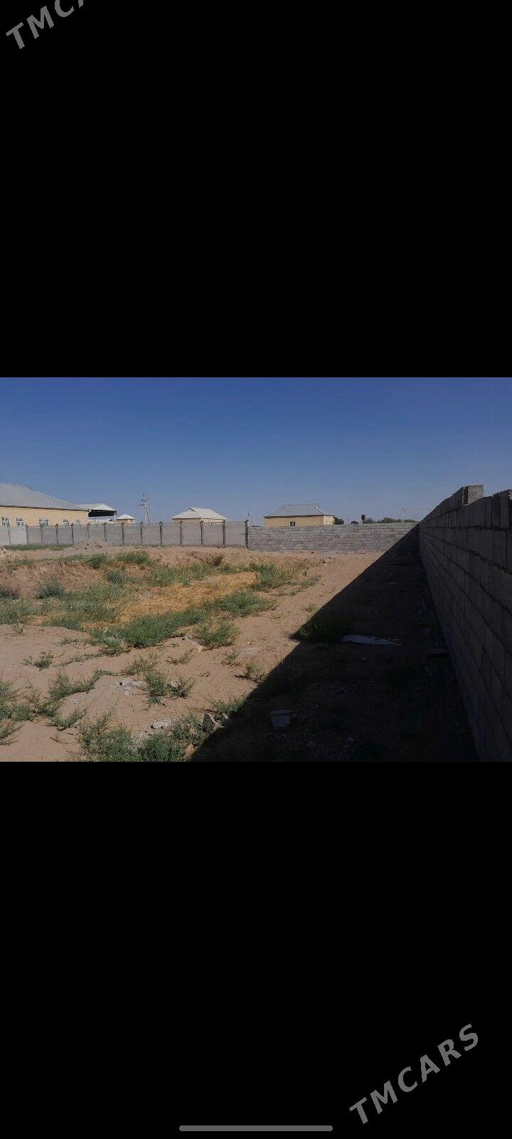 Mellek yer - Mary - img 7