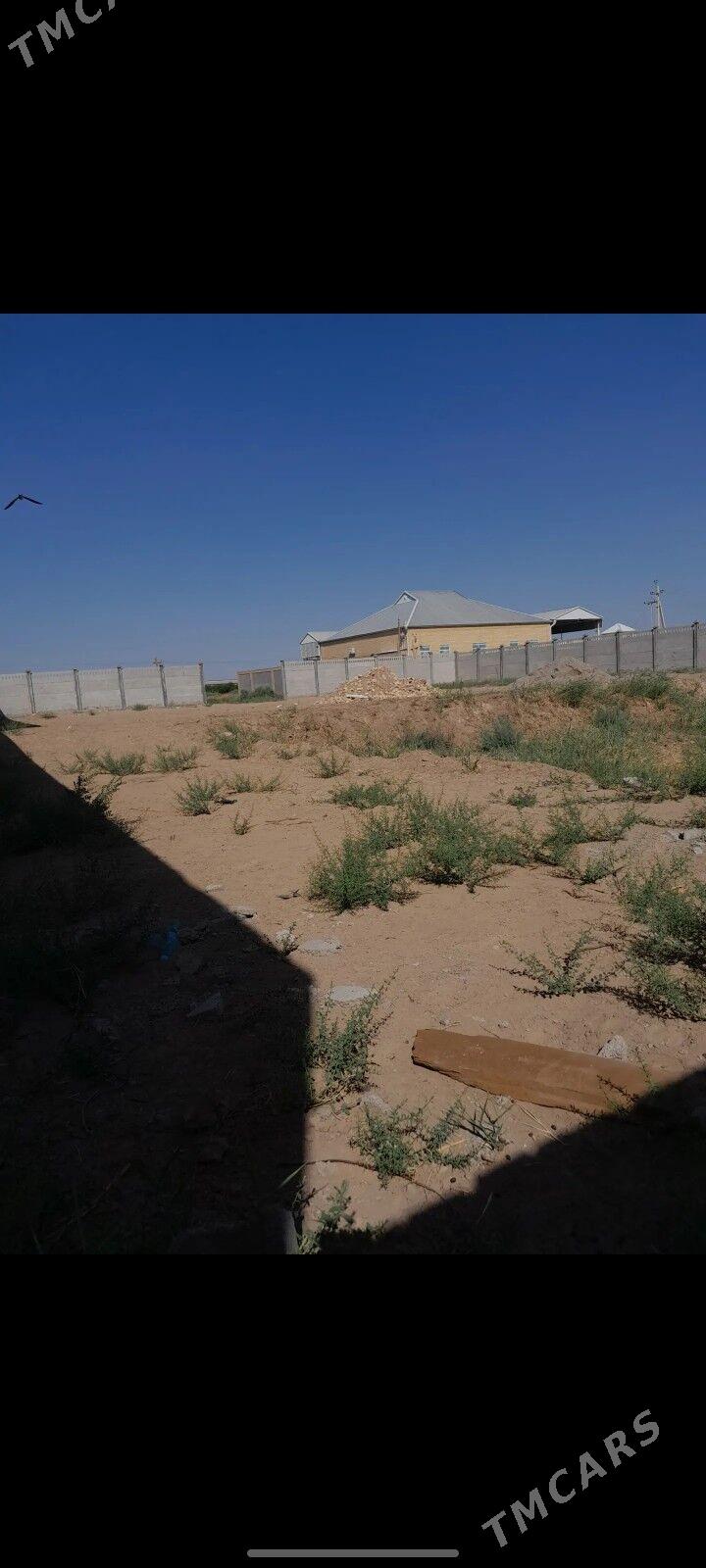 Mellek yer - Mary - img 5