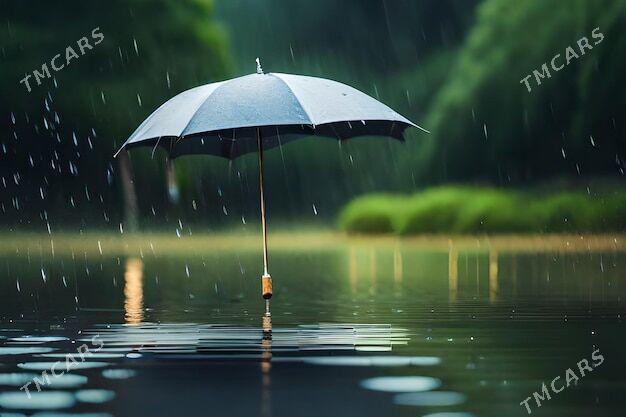 ZONTIK  //  ЗОНТИК - 30 mkr - img 9