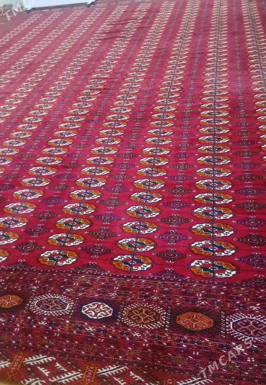 El haly - Ашхабад - img 1