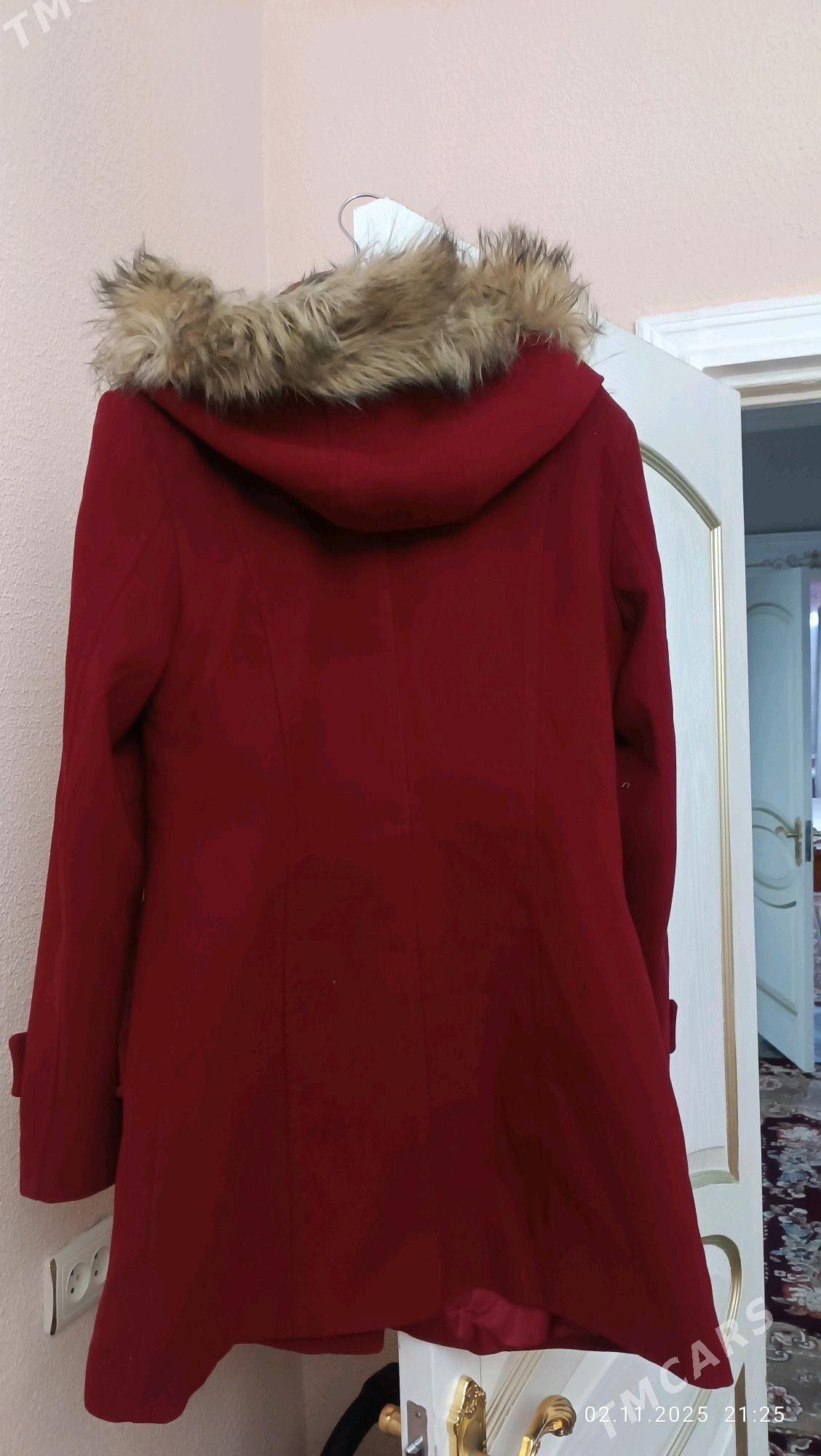 Palto. Пальто - Daşoguz - img 2